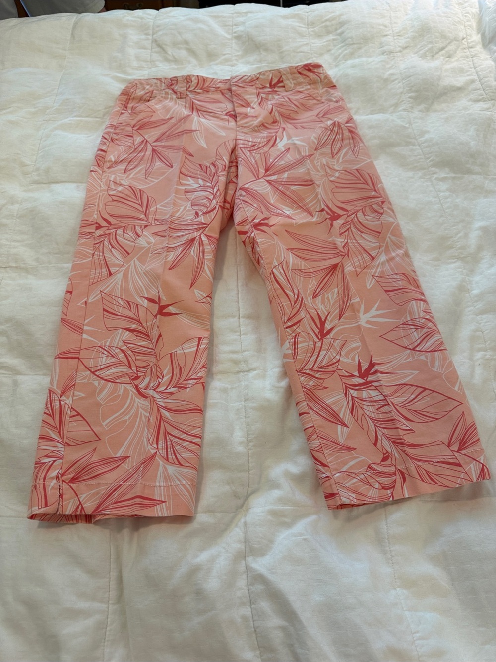 Pappagallo Pink Tropical Leaf Capri Pants